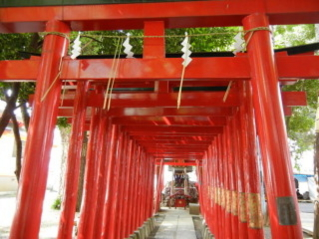 鳥居☆_花園神社