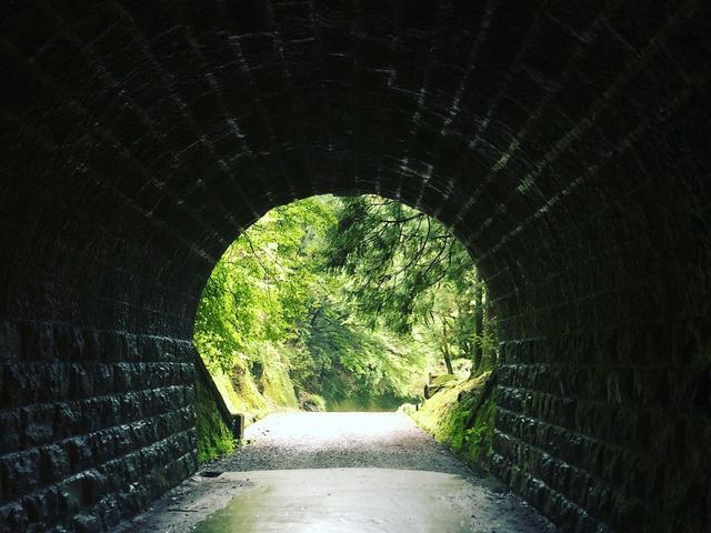 トンネル出口付近_天城山隧道(通称:旧天城トンネル)