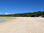 仏像さんのコンドイビーチの投稿写真1