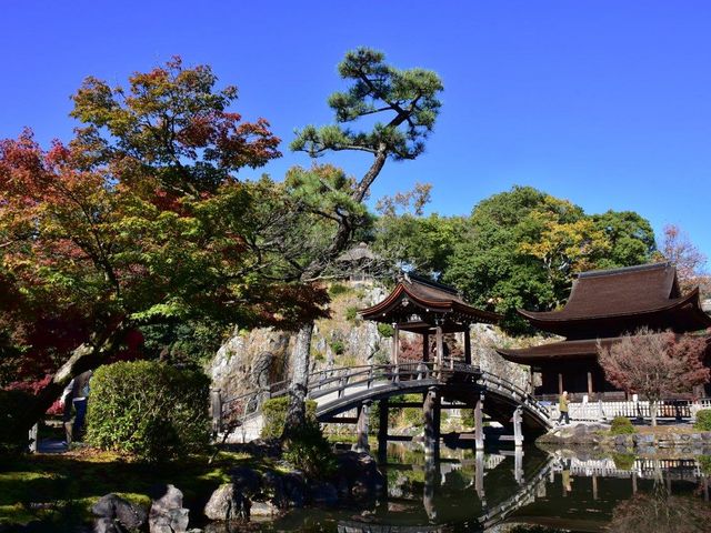 虎渓山永保寺 観音堂(国宝)と無際橋_虎渓山永保寺