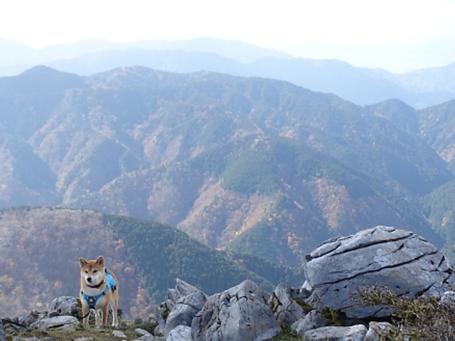 岳さんの御池岳の投稿写真3