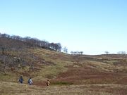 岳さんの御池岳の投稿写真1