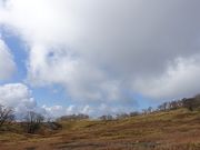 岳さんの御池岳の投稿写真2