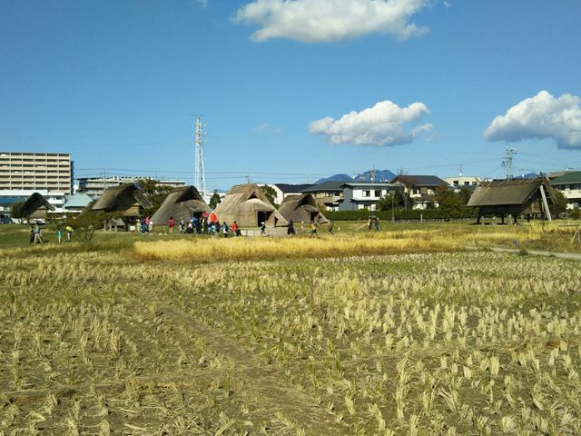 たっちゃんさんの登呂公園の投稿写真2