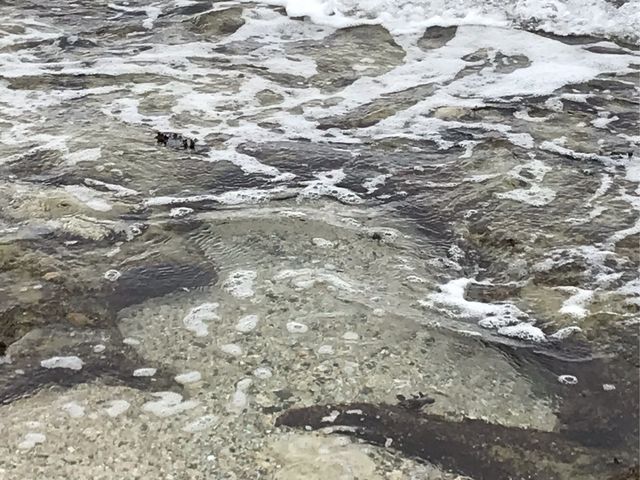 隠れハートロック。ハートロックに行く途中の砂浜で見つけました。_エンドレスブルー奄美大島