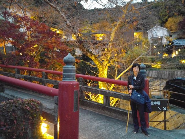 高低差を上手に利用して造園された庭園_こんぴら温泉郷 琴平花壇