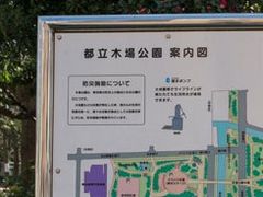 テツワンさんの木場公園への投稿写真1