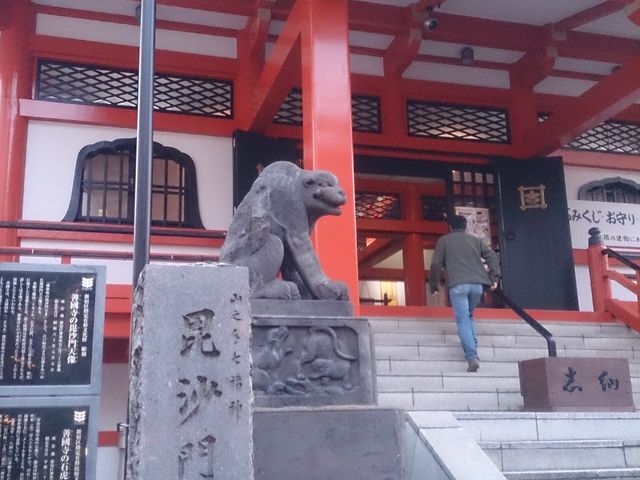 狛虎_善国寺