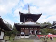こぼらさんの根來寺大塔の投稿写真1