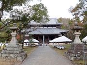 こぼらさんの根來寺の投稿写真1