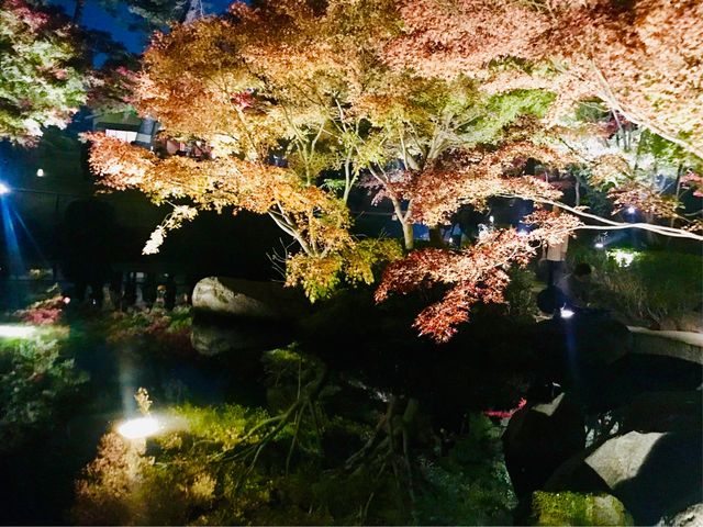 【大田黒公園】紅葉ライトアップ_大田黒公園