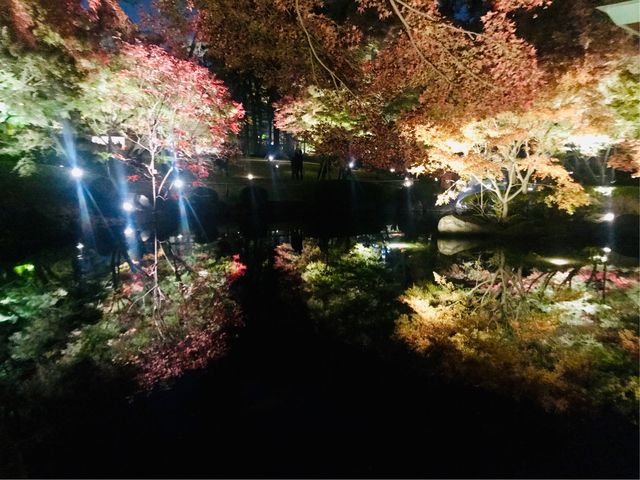 【大田黒公園】池の水面に逆さに映ります_大田黒公園