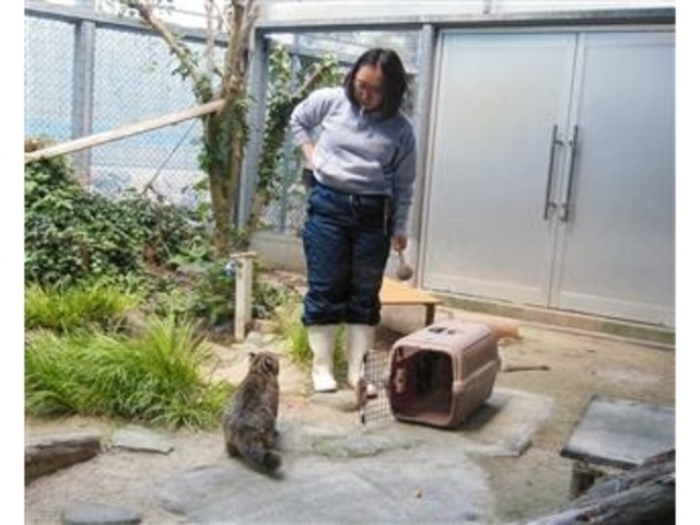 「12時の餌やり」を見れました。_対馬野生生物保護センター