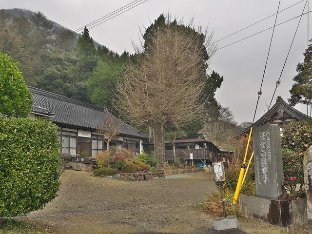sklfhさんの法雲寺(兵庫県上郡町)の投稿写真1