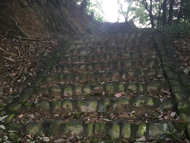 どらえもんさんの鳥見霊畤の投稿写真1