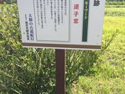 どらえもんさんの山田寺跡の投稿写真1