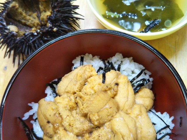 yuさんの奥松島縄文村歴史資料館の投稿写真1