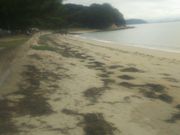 あきさんの琴弾地海水浴場の投稿写真1