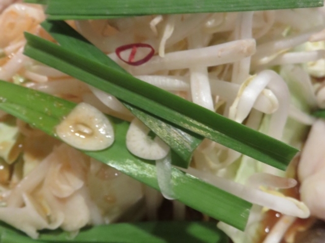 もつ鍋(みそ)_ホルン 能登川店