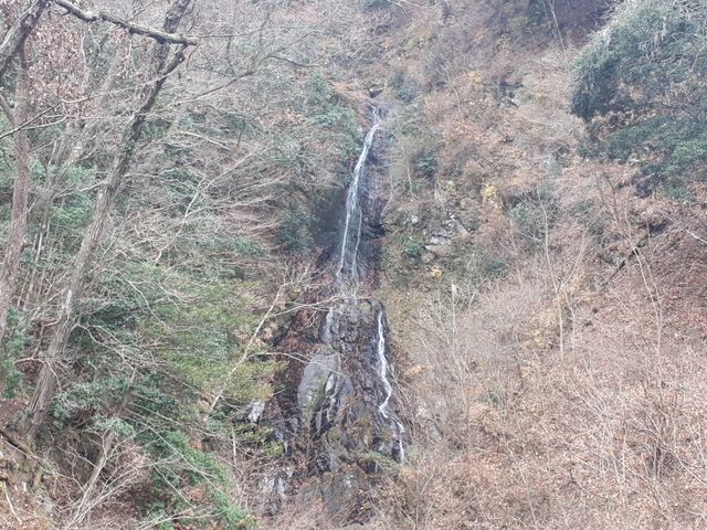 大沢の滝_大沢の滝