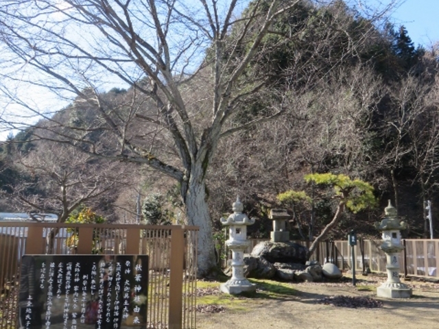 景色_池田温泉(本館)