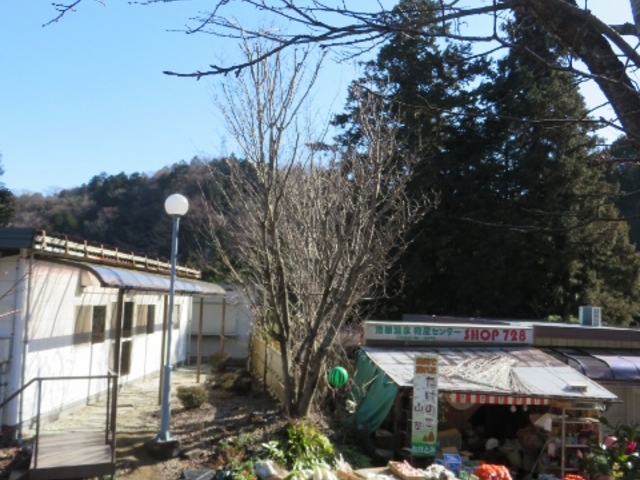 景色_池田温泉(本館)
