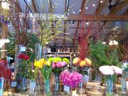 よねずさんのてんしばカフェ スプーンビル SPOONBILL 天王寺の投稿写真1