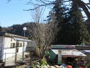 てつきちさんの池田温泉(本館)の投稿写真5