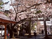 芽衣さんの日枝神社の投稿写真1