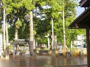 芽衣さんの白山神社の投稿写真1