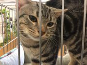 トン太さんのMoff animal world BIGHOPガーデンモール印西店の投稿写真1