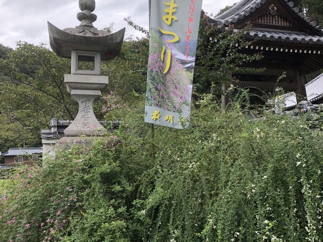 萩祭り当日_最明寺の萩