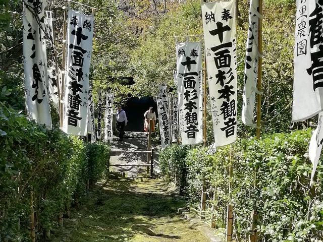 本堂のある境内から見下ろした眺めです_杉本寺 苔の階段
