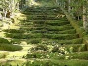 DoubleO7さんの杉本寺 苔の階段の投稿写真1