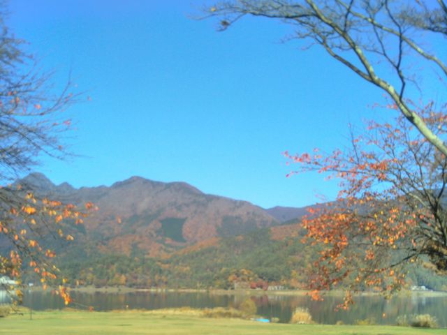 usaさんの小海公園の投稿写真1
