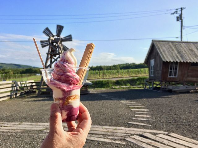 アイスと葡萄畑_ヴィアグレスト