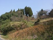 Yanwenliさんの田中城跡の投稿写真2