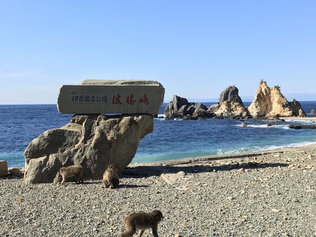 海を見るだけでもイイ感じです_波勝崎モンキーベイ