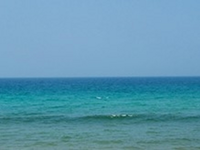 青島_青島