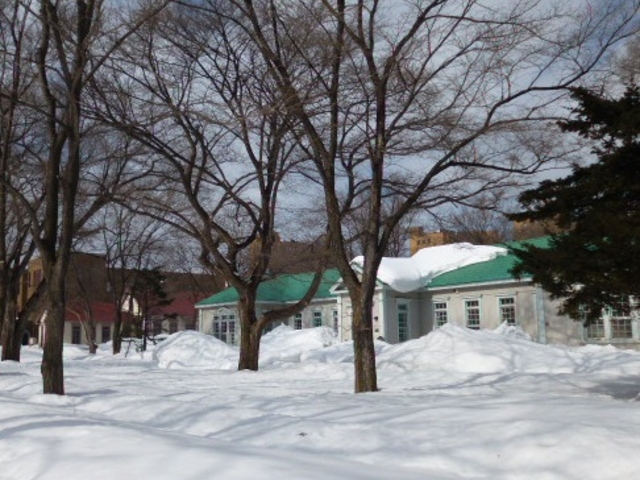 静かなキャンパスでした_北海道大学
