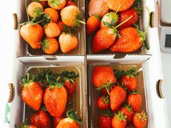 orangeさんのむつみ農園への投稿写真1