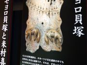 イオンさんのモヨロ貝塚の投稿写真1