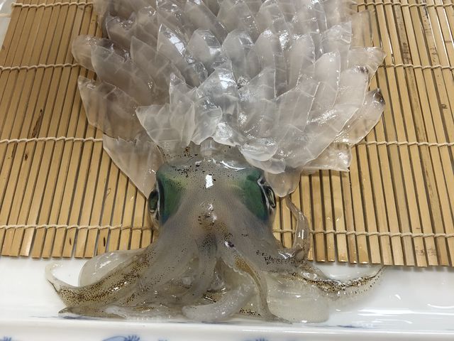 でっかいー!!_漁師民宿 大慶