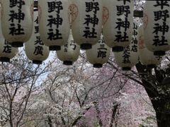 おじさん111さんの平野神社への投稿写真1