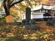 かずさんの徳川秀忠公 憩石の投稿写真1