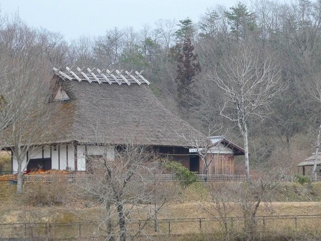 兵庫県三田市・県立有馬富士公園_県立有馬富士公園