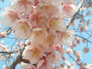 静さんの道の駅 黒井山グリーンパークの投稿写真1