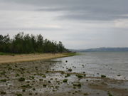 七郎さんの南城市文化センター・シュガーホールの投稿写真1