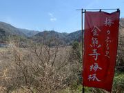 panchanさんの金熊寺梅林の投稿写真16