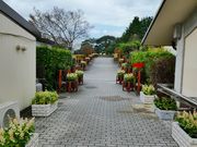 マックさんの化女沼の投稿写真2